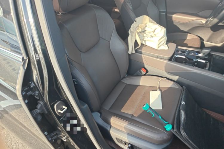 Used Lexus RX New Energy 2023 450h+ Four-Wheel Drive Enjoyment Edition Right Front Seat