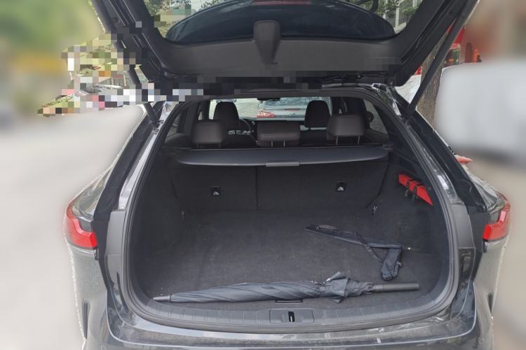Used Lexus RX New Energy 2023 450h+ Four-Wheel Drive Enjoyment Edition Trunk