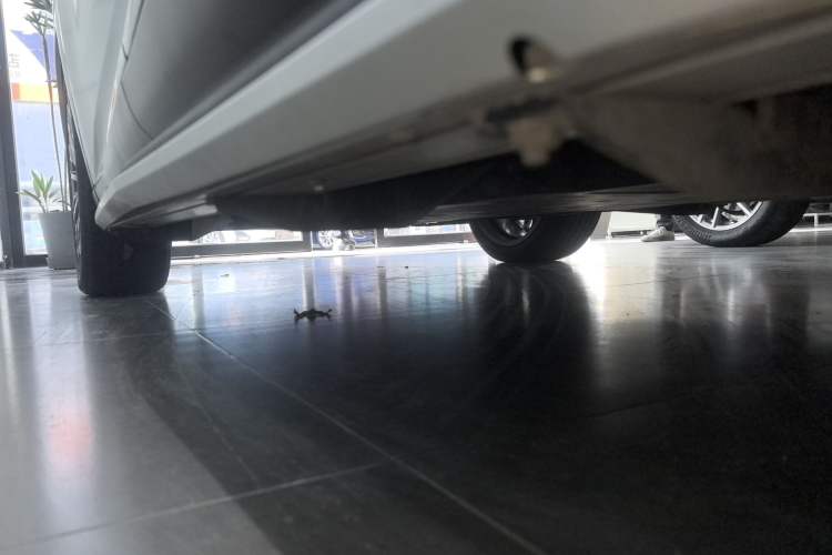 Used Lexus RX New Energy 2023 450h+ Four-Wheel Drive Enjoyment Edition Left Side Sill