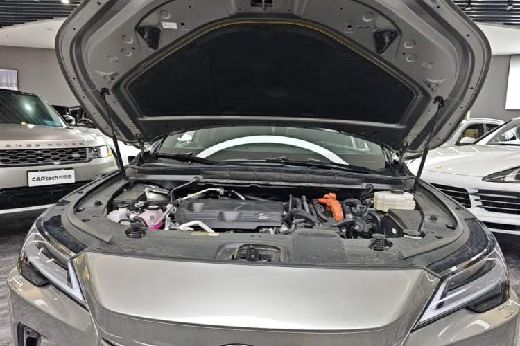 Used Lexus RX New Energy 2023 450h+ Four-Wheel Drive Enjoyment Edition Engine Bay