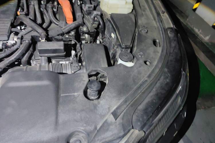 Used Lexus RX New Energy 2023 450h+ Four-Wheel Drive Enjoyment Edition Engine Bay Left