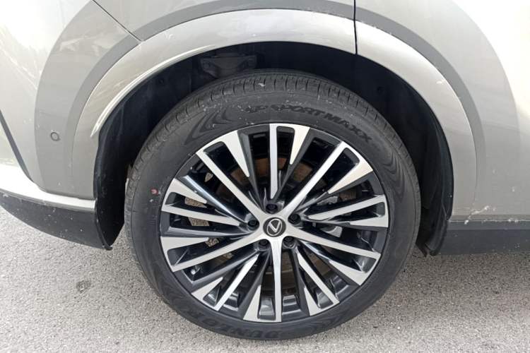 Used Lexus RX New Energy 2023 450h+ Four-Wheel Drive Enjoyment Edition Exterior 5