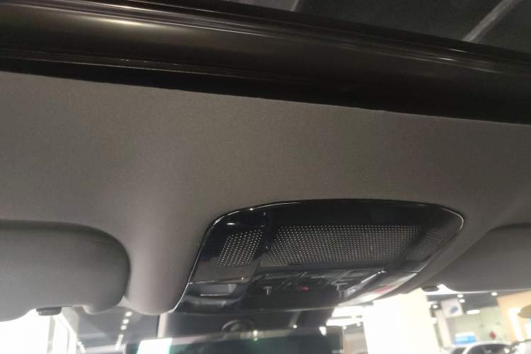 Used Lexus RX New Energy 2023 450h+ Four-Wheel Drive Enjoyment Edition Headliner