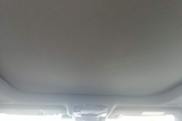 Used Lexus RX New Energy 2023 450h+ Four-Wheel Drive Enjoyment Edition Headliner
