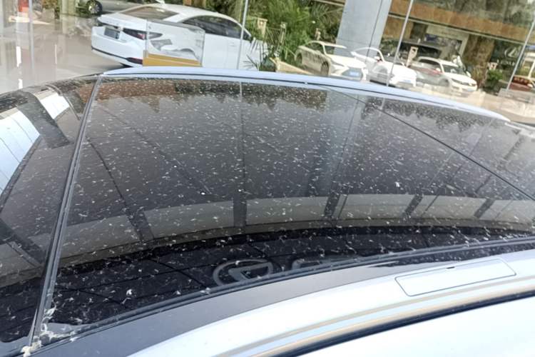 Used Lexus RX New Energy 2023 450h+ Four-Wheel Drive Enjoyment Edition Roof