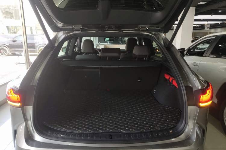 Used Lexus RX New Energy 2023 450h+ Four-Wheel Drive Enjoyment Edition Trunk