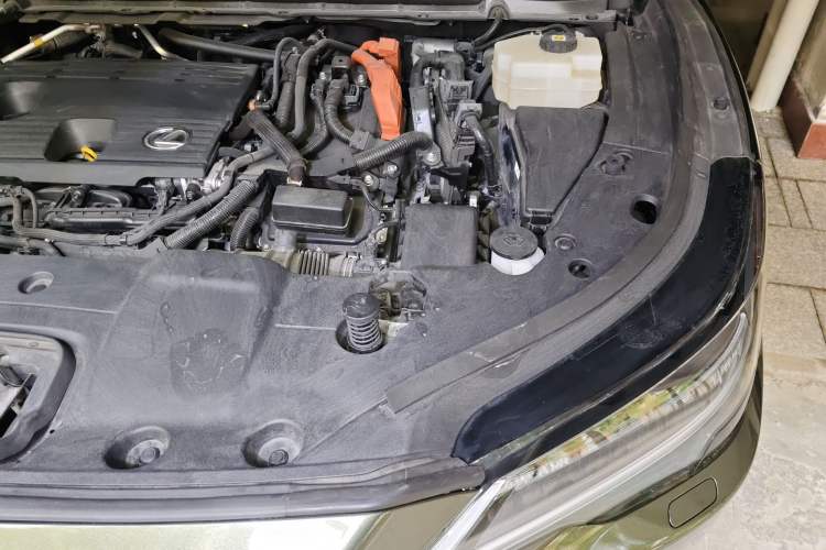 Used Lexus RX New Energy 2023 450h+ Four-Wheel Drive Enjoyment Edition Engine Bay Left