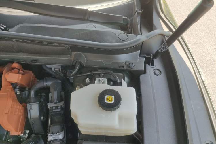 Used Lexus RX New Energy 2023 450h+ Four-Wheel Drive Enjoyment Edition Engine Bay Left
