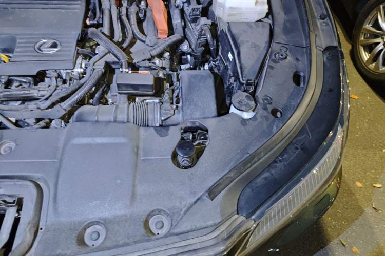 Used Lexus RX New Energy 2023 450h+ Four-Wheel Drive Enjoyment Edition Engine Bay Left