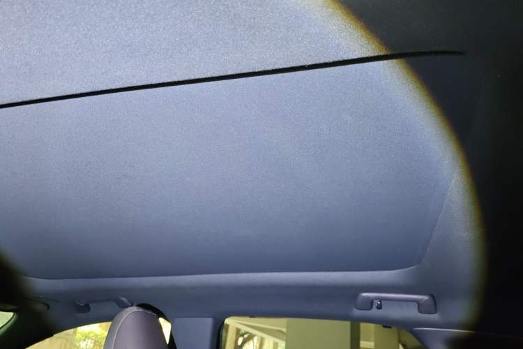 Used Lexus RX New Energy 2023 450h+ Four-Wheel Drive Enjoyment Edition Headliner