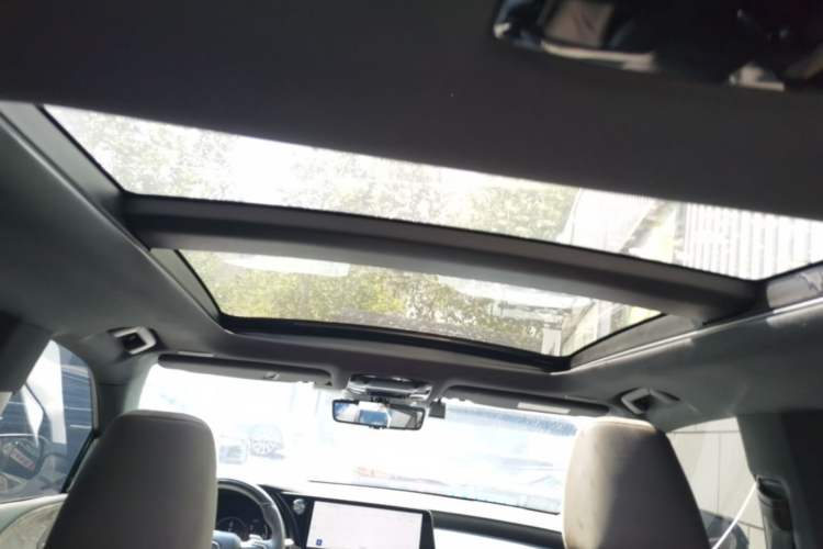 Used Lexus RX New Energy 2023 450h+ Four-Wheel Drive Enjoyment Edition Headliner
