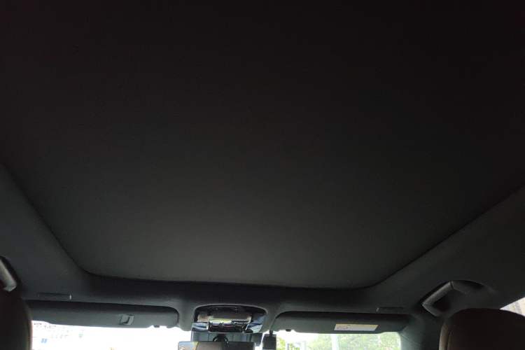 Used Lexus RX New Energy 2023 450h+ Four-Wheel Drive Enjoyment Edition Headliner