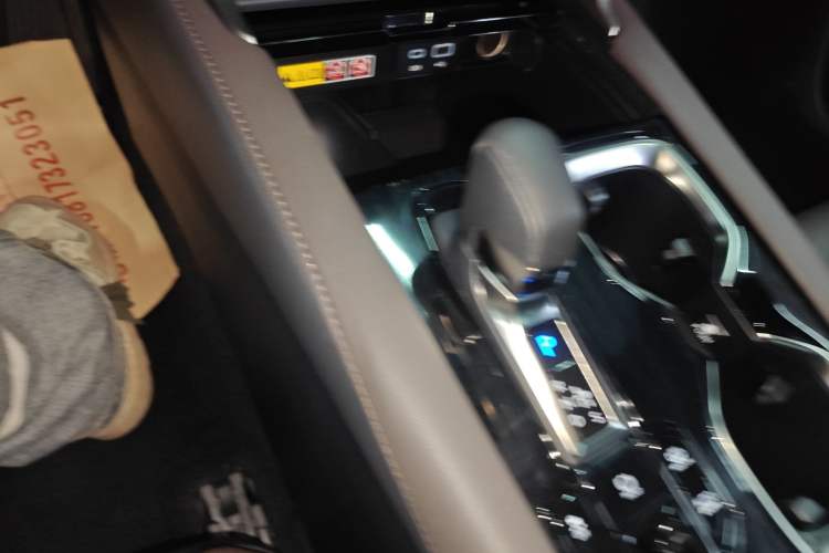 Used Lexus RX New Energy 2023 450h+ Four-Wheel Drive Enjoyment Edition Gear Lever