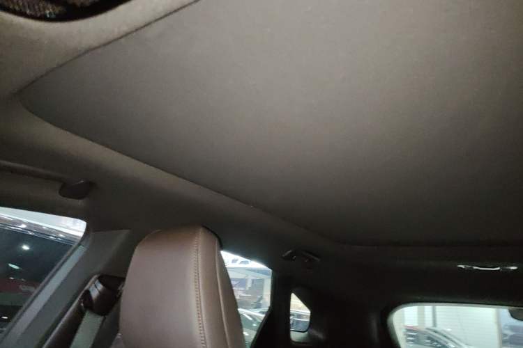 Used Lexus RX New Energy 2023 450h+ Four-Wheel Drive Enjoyment Edition Headliner