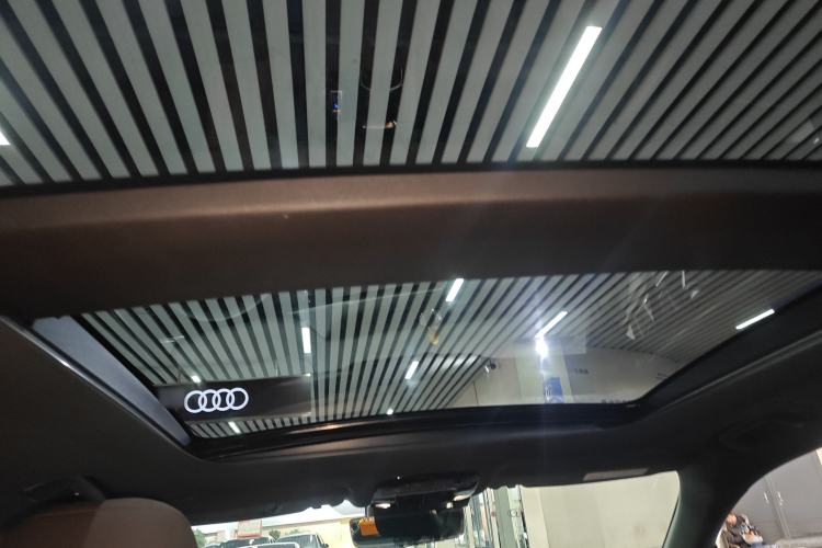 Used Lexus RX New Energy 2023 450h+ Four-Wheel Drive Enjoyment Edition Headliner