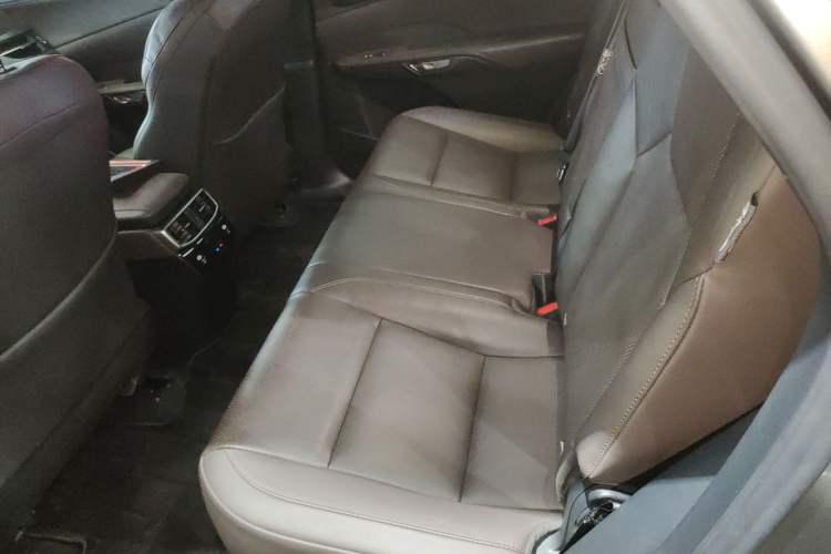 Used Lexus RX New Energy 2023 450h+ Four-Wheel Drive Enjoyment Edition Left Rear Seat