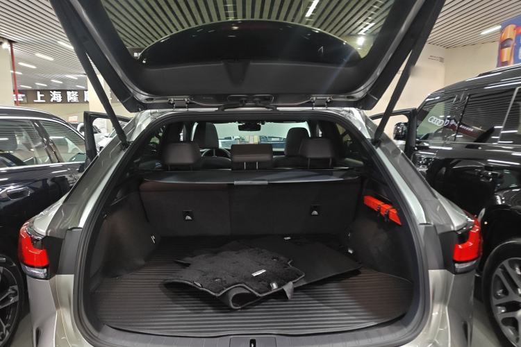 Used Lexus RX New Energy 2023 450h+ Four-Wheel Drive Enjoyment Edition Trunk