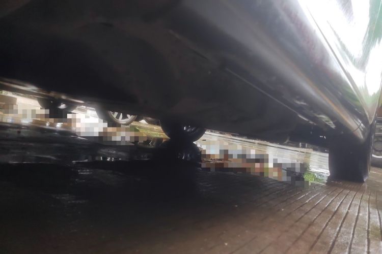 Used Lexus RX New Energy 2023 450h+ Four-Wheel Drive Enjoyment Edition Chassis Front Left