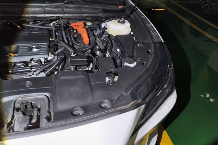 Used Lexus RX New Energy 2023 450h+ Four-Wheel Drive Enjoyment Edition Engine Bay Left