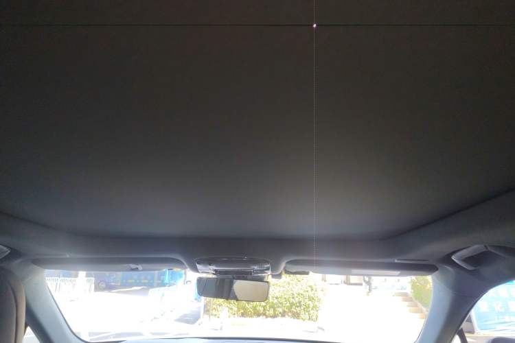 Used Lexus RX New Energy 2023 450h+ Four-Wheel Drive Enjoyment Edition Headliner