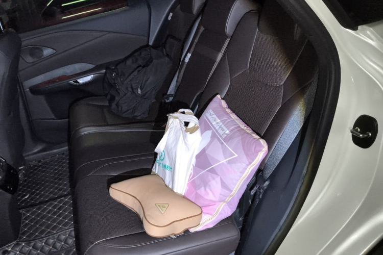 Used Lexus RX New Energy 2023 450h+ Four-Wheel Drive Enjoyment Edition Left Rear Seat