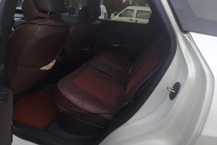 Used Lexus RX New Energy 2023 450h+ Four-Wheel Drive Enjoyment Edition Left Rear Seat