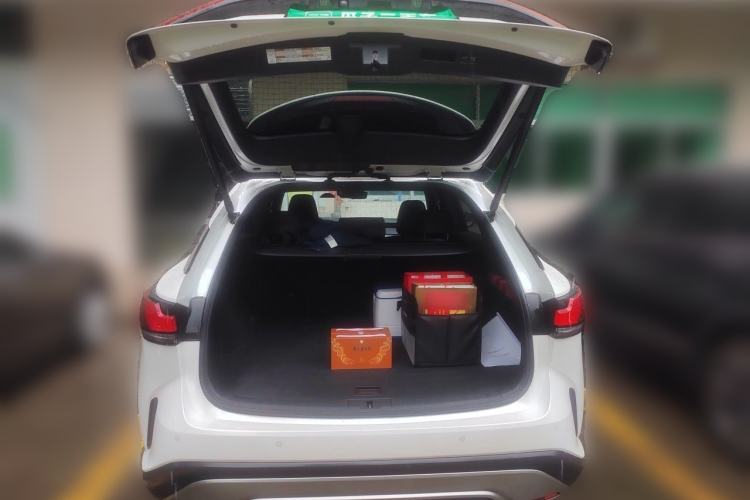 Used Lexus RX New Energy 2023 450h+ Four-Wheel Drive Enjoyment Edition Trunk
