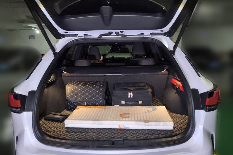 Used Lexus RX New Energy 2023 450h+ Four-Wheel Drive Enjoyment Edition Trunk