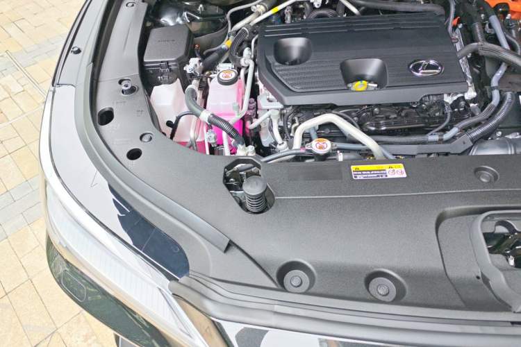 Used Lexus RX New Energy 2025 450h+ Four-Wheel Drive Comfort Edition Engine Bay Right