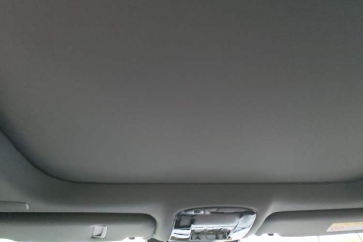 Used Lexus RX New Energy 2025 450h+ Four-Wheel Drive Comfort Edition Headliner
