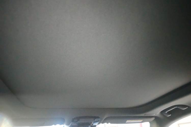 Used Lexus RX New Energy 2025 450h+ Four-Wheel Drive Comfort Edition Headliner