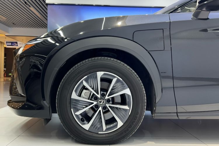 Used Lexus RZ 2023 450e All-Wheel Drive Luxury Edition Exterior 5