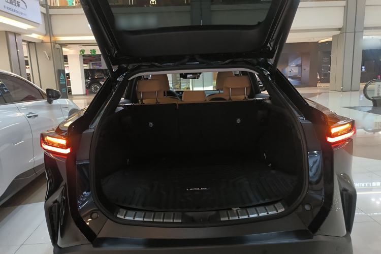 Used Lexus RZ 2023 450e All-Wheel Drive Luxury Edition Trunk