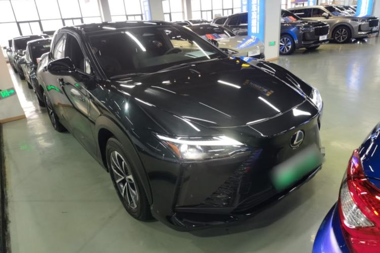 Used Lexus RZ 2023 450e All-Wheel Drive Luxury Edition Exterior 2