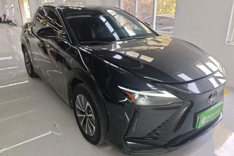 Used Lexus RZ 2023 450e All-Wheel Drive Luxury Edition Exterior 2