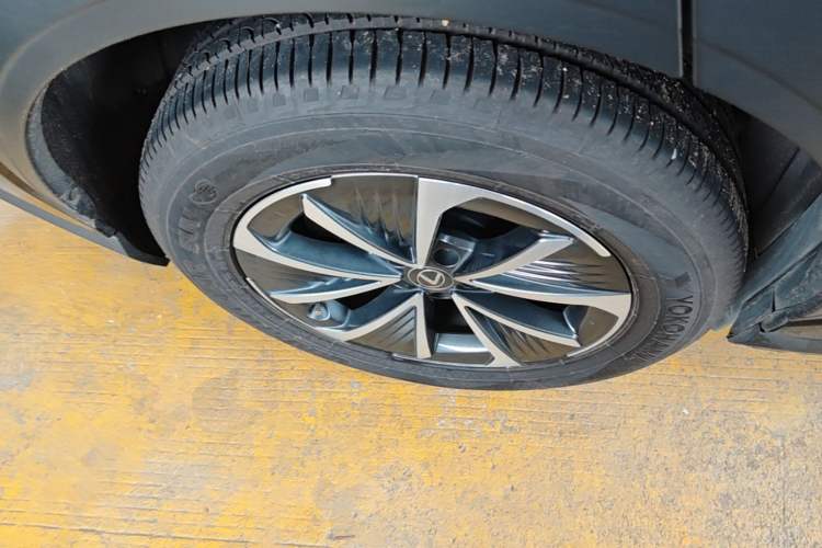 Used Lexus RZ 2023 450e All-Wheel Drive Luxury Edition Exterior 5