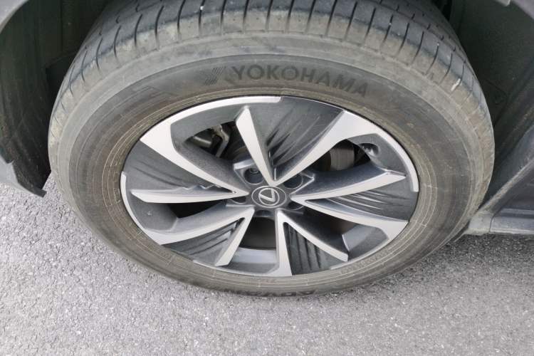 Used Lexus RZ 2023 450e All-Wheel Drive Luxury Edition Exterior 5
