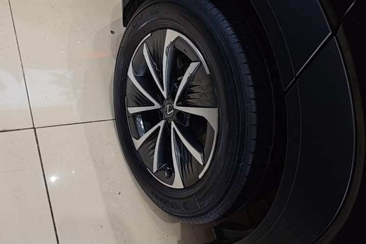 Used Lexus RZ 2023 450e All-Wheel Drive Luxury Edition Exterior 5