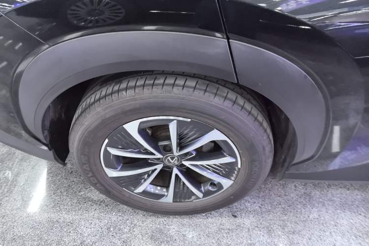 Used Lexus RZ 2023 450e All-Wheel Drive Luxury Edition Exterior 5