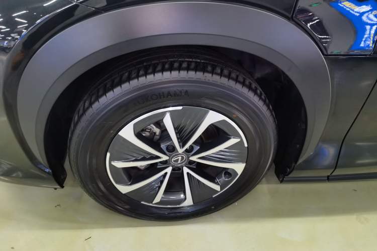Used Lexus RZ 2023 450e All-Wheel Drive Luxury Edition Exterior 7