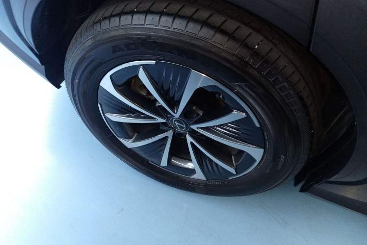 Used Lexus RZ 2023 450e All-Wheel Drive Luxury Edition Exterior 8