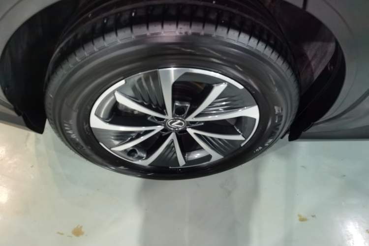 Used Lexus RZ 2023 450e All-Wheel Drive Luxury Edition Exterior 8