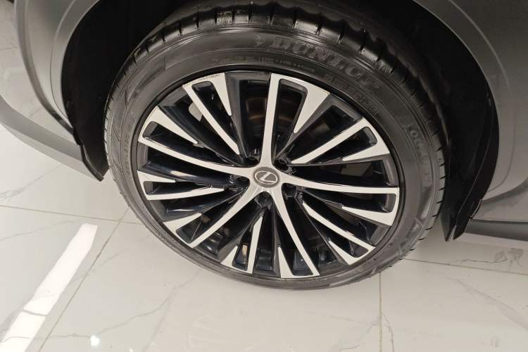 Used Lexus RZ 2023 450e All-Wheel Drive Luxury Edition Exterior 8