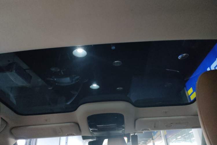Used Lexus RZ 2023 450e All-Wheel Drive Luxury Edition Headliner
