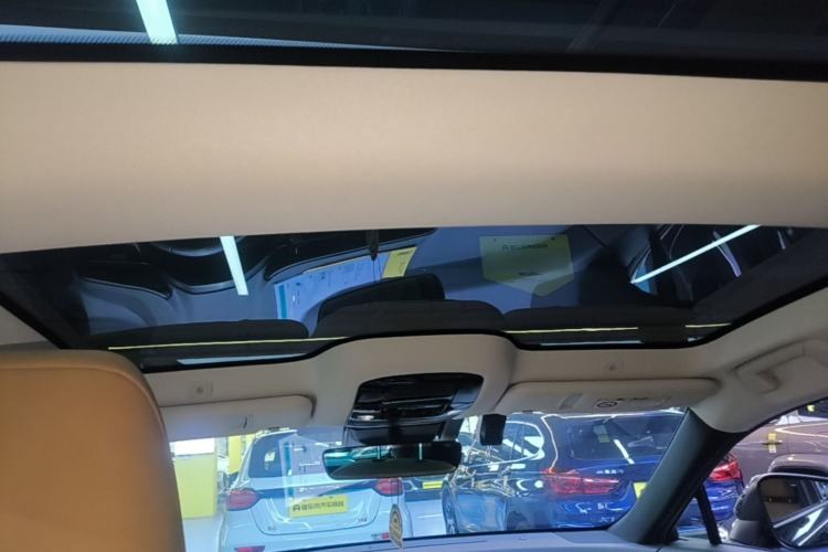 Used Lexus RZ 2023 450e All-Wheel Drive Luxury Edition Headliner