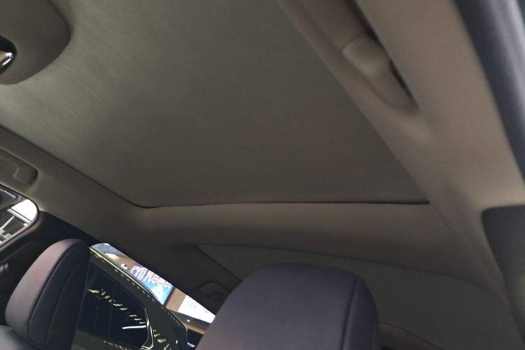 Used Lexus RZ 2023 450e All-Wheel Drive Luxury Edition Headliner