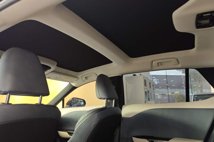 Used Lexus RZ 2023 300e Long-Range Indulgence Edition Headliner