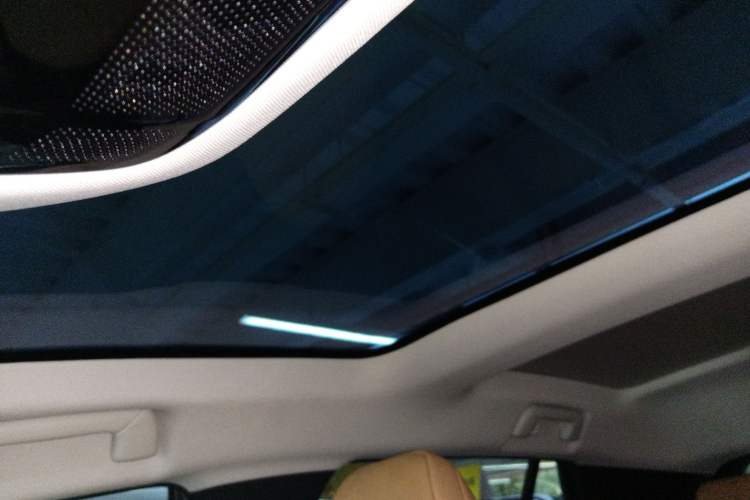 Used Lexus RZ 2023 450e All-Wheel Drive Luxury Edition Headliner