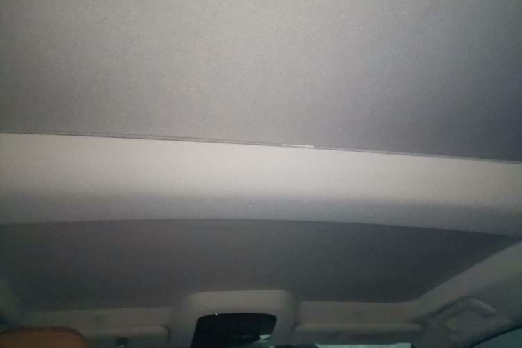 Used Lexus RZ 2023 450e All-Wheel Drive Luxury Edition Headliner