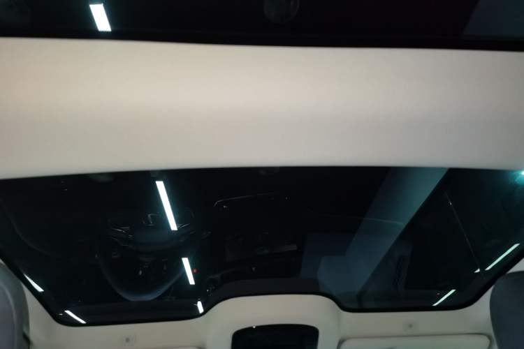 Used Lexus RZ 2023 450e All-Wheel Drive Luxury Edition Headliner